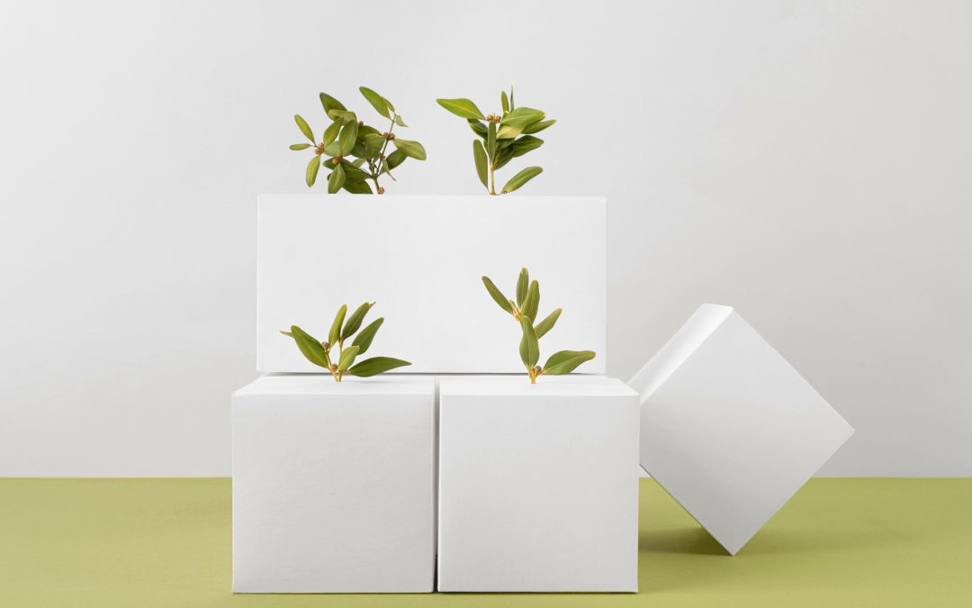 Custom Box Ramah Lingkungan: Solusi Kemasan Eco-Friendly