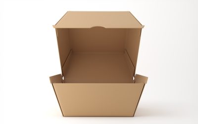 Folding Carton Box Packaging Praktis untuk Berbagai Produk